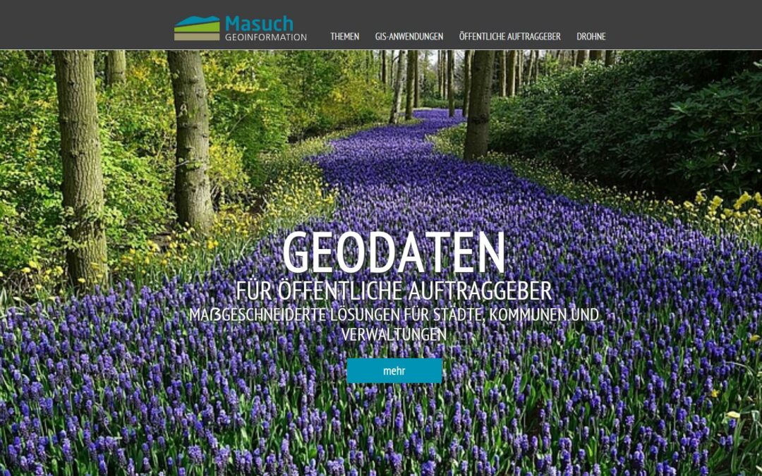 Masuch Geoinformation